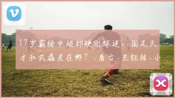 17岁霸榜中超却硬刚球迷,国足天才和武磊差在哪?_看台_王钰栋_小子