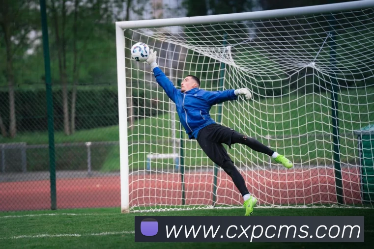 东京奥运中国金牌入口正式开放 揭秘冠军背后故事 追踪争光历程与荣耀共